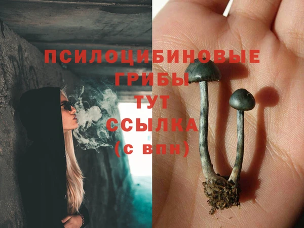 apvp Белокуриха