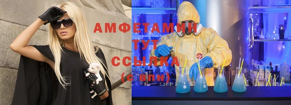 apvp Белокуриха